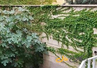 فروش خانه و کلنگی 312 متر در شهرک غرب 