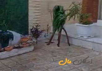 فروش خانه ویلایی ۲۳۷ متری ۲ خوابه در مفتح