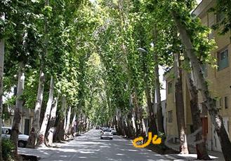 فروش فوری آپارتمان 155 3خواب دشتستان خ ناهید