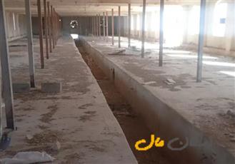 مرغداری گوشتی,اصفهان، براآن شمالی، جاده جاجا - فیروزآباد