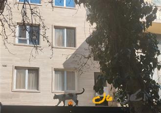 اپارتمان دوبلکس ط سوم وچهارم 131متر