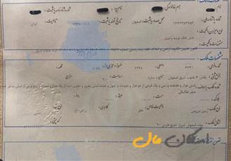 زمین پروانه دار ، ویلا سازی ، تالار ، باغ رستوران مرق