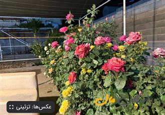 چهار دیواری ۷۰۰ متر زیار