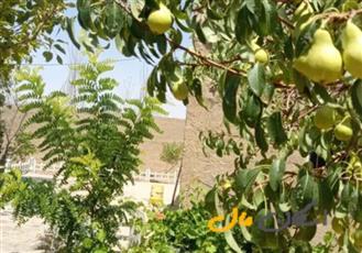 باغ و ویلا قهاب جنوبی