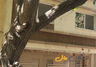 منزل دو طبقه باغ ویلایی ۶۰۰ متری