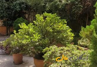 فروش آپارتمان 85 متر دو خوابه قیطریه